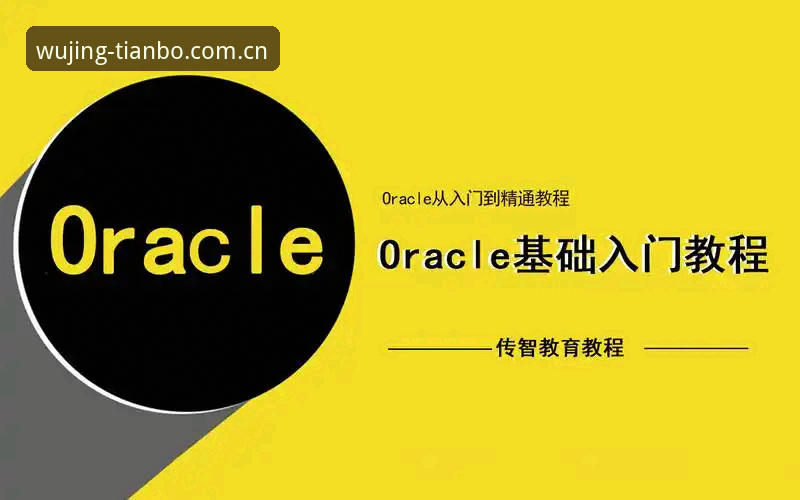 天博体育平台资深玩家多年使用心得：从入门到精通的实战经验分享